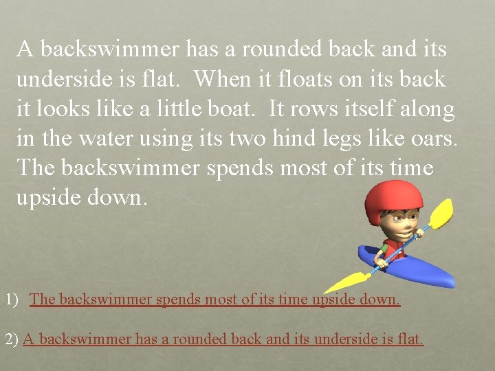 A backswimmer has a rounded back and its underside is flat. When it floats