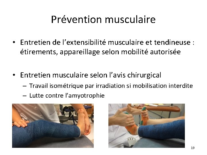 Prévention musculaire • Entretien de l’extensibilité musculaire et tendineuse : étirements, appareillage selon mobilité