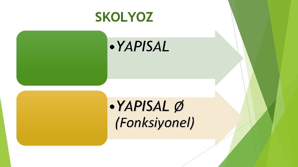 SKOLYOZ • YAPISAL Ø (Fonksiyonel) 