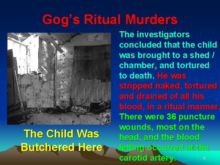 Gog’s Ritual Murders The Child Was Butchered Here The investigators concluded that the child