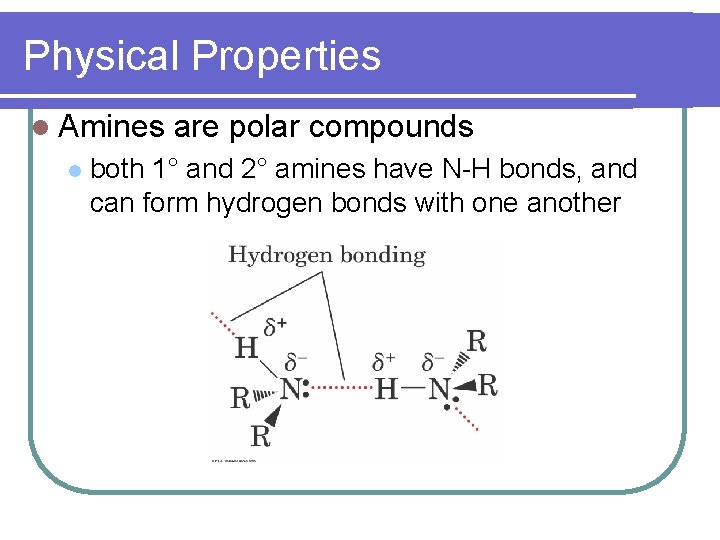 Physical Properties l Amines l are polar compounds both 1° and 2° amines have