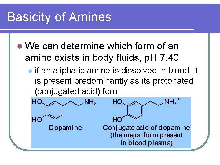 Basicity of Amines l We can determine which form of an amine exists in