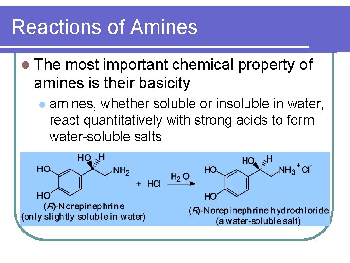 Reactions of Amines l The most important chemical property of amines is their basicity
