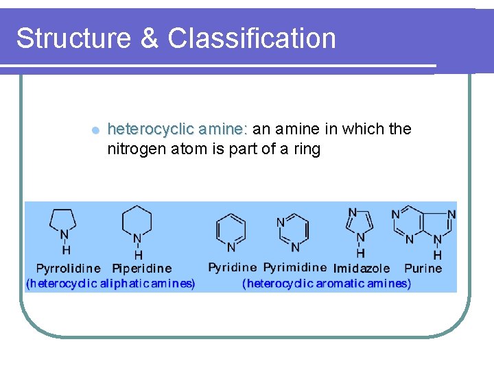 Structure & Classification l heterocyclic amine: an amine in which the nitrogen atom is