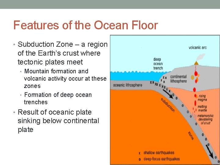 Features of the Ocean Floor • Subduction Zone – a region of the Earth’s