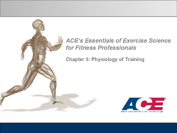 ACE’s Essentials of Exercise Science for Fitness Professionals Chapter 5: Physiology of Training 