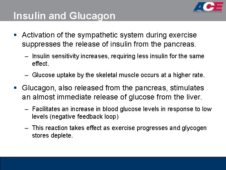 Insulin and Glucagon § Activation of the sympathetic system during exercise suppresses the release