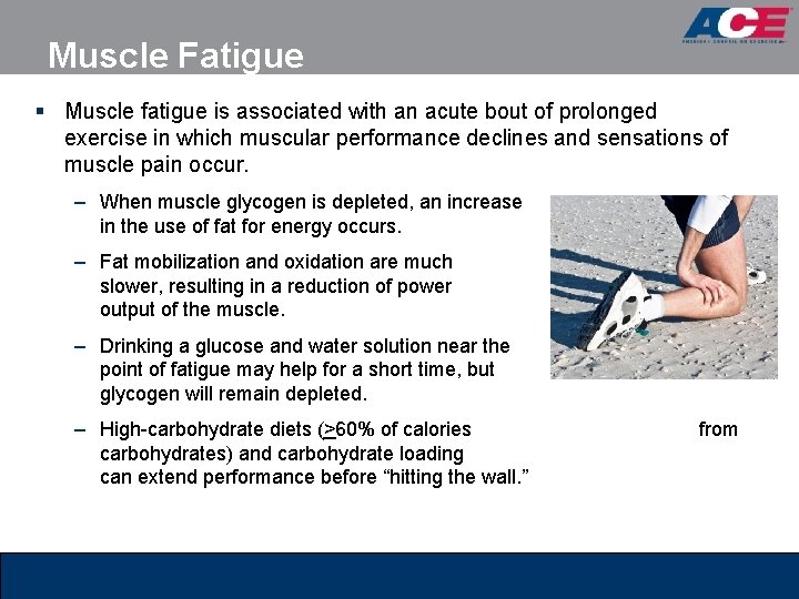 Muscle Fatigue § Muscle fatigue is associated with an acute bout of prolonged exercise