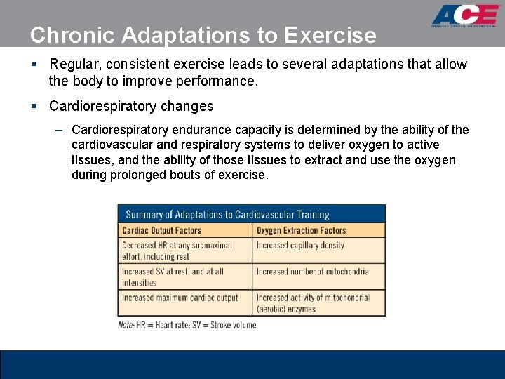 Chronic Adaptations to Exercise § Regular, consistent exercise leads to several adaptations that allow
