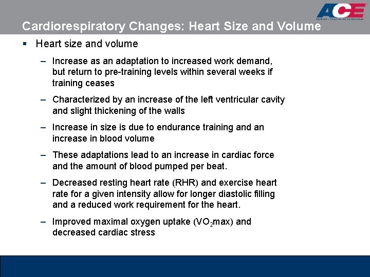 Cardiorespiratory Changes: Heart Size and Volume § Heart size and volume – Increase as