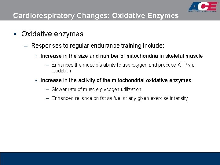 Cardiorespiratory Changes: Oxidative Enzymes § Oxidative enzymes – Responses to regular endurance training include: