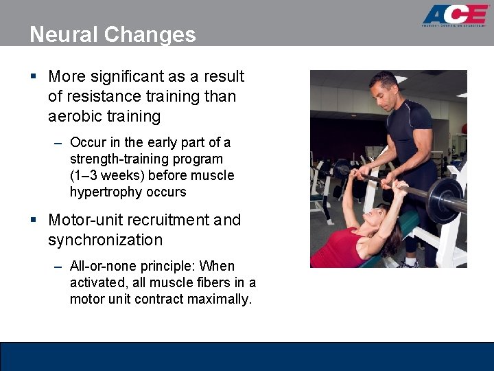 Neural Changes § More significant as a result of resistance training than aerobic training