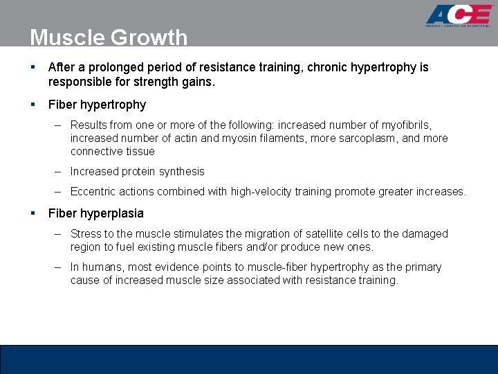 Muscle Growth § After a prolonged period of resistance training, chronic hypertrophy is responsible