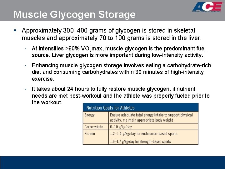 Muscle Glycogen Storage § Approximately 300– 400 grams of glycogen is stored in skeletal