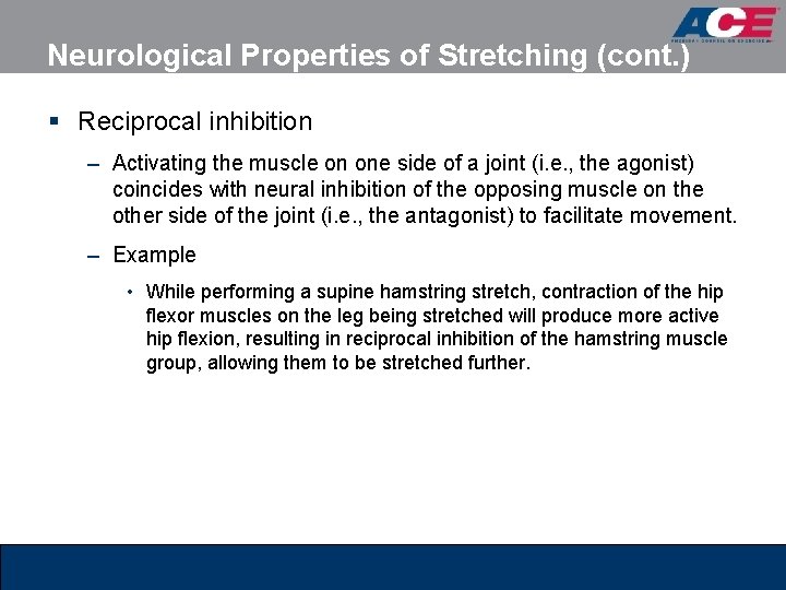 Neurological Properties of Stretching (cont. ) § Reciprocal inhibition – Activating the muscle on