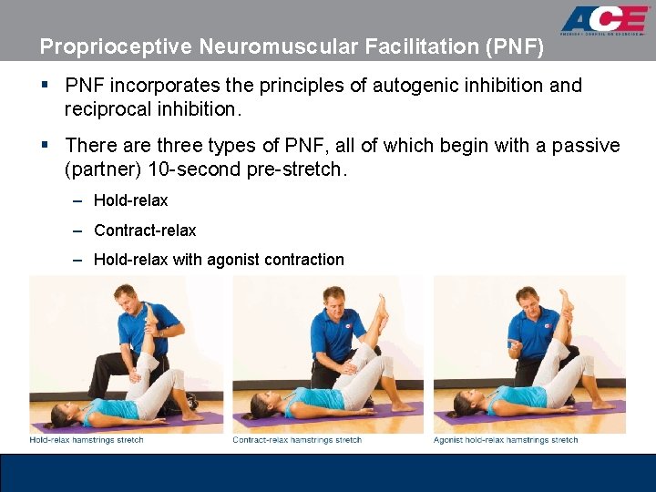 Proprioceptive Neuromuscular Facilitation (PNF) § PNF incorporates the principles of autogenic inhibition and reciprocal