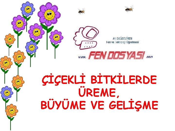 ÇİÇEKLİ BİTKİLERDE ÜREME, BÜYÜME VE GELİŞME 