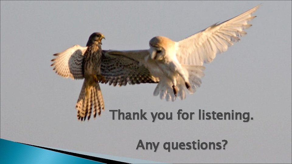 Thank you for listening. Any questions? 