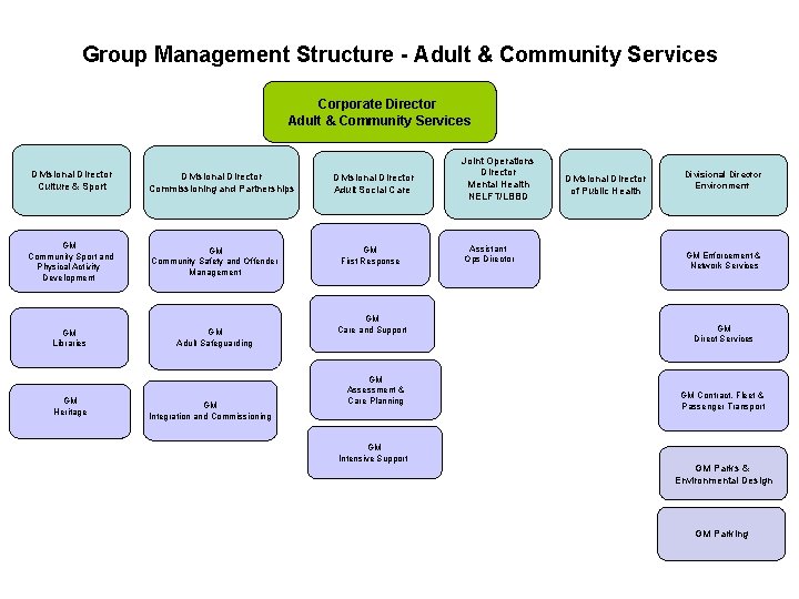 Group Management Structure - Adult & Community Services Corporate Director Adult & Community Services