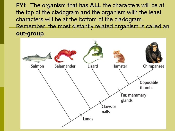 FYI: The organism that has ALL the characters will be at the top of