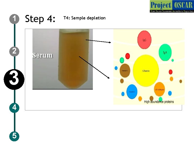 1 2 3 4 5 Step 4: T 4: Sample depletion 