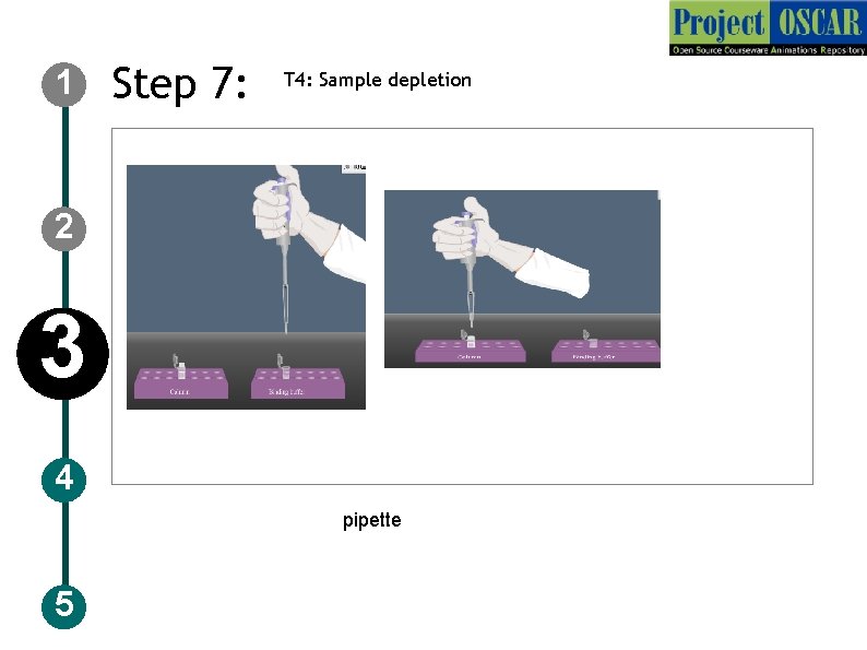 1 Step 7: T 4: Sample depletion 2 3 4 pipette 5 
