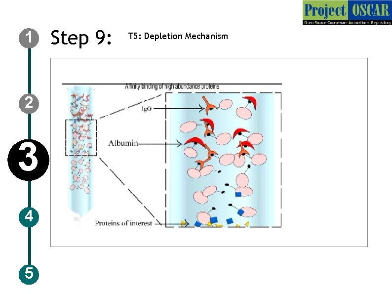 1 2 3 4 5 Step 9: T 5: Depletion Mechanism 
