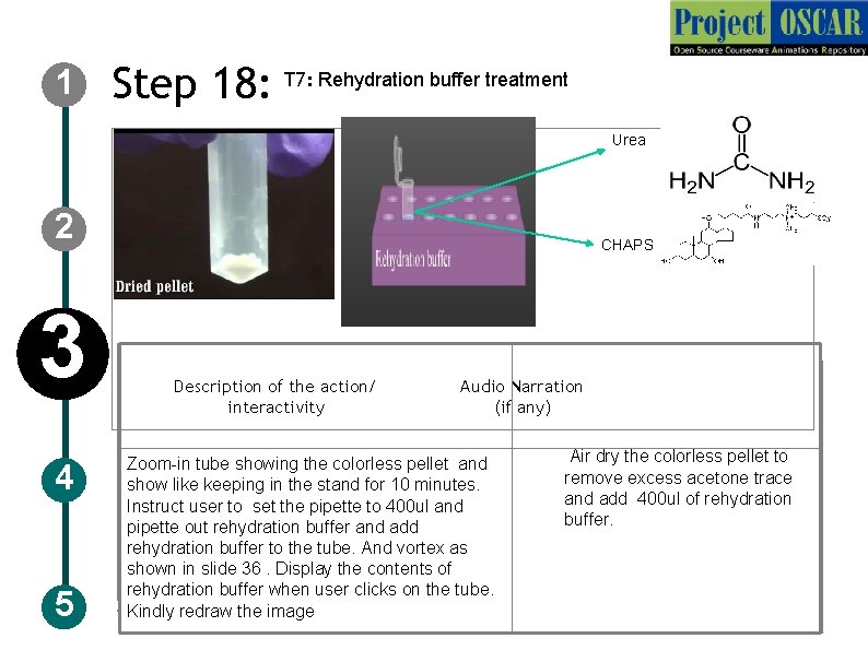 1 Step 18: T 7: Rehydration buffer treatment Urea 2 3 4 5 CHAPS