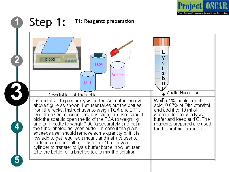 1 Step 1: T 1: Reagents preparation 2 TCA Acetone 3 4 5 DTT