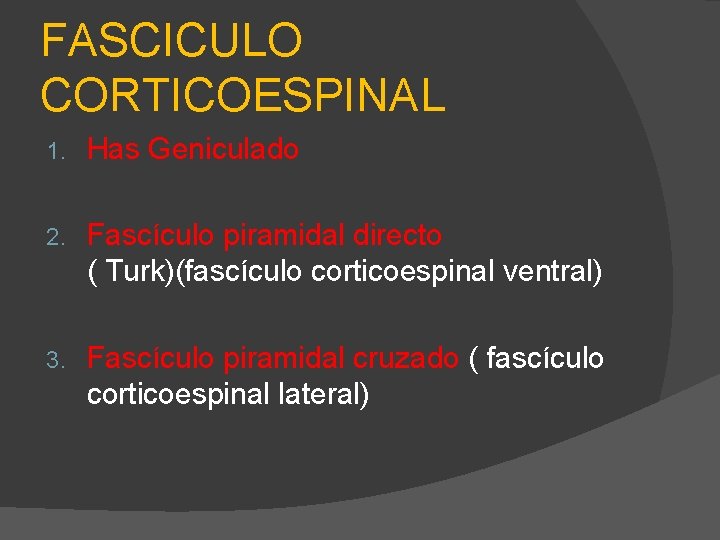 FASCICULO CORTICOESPINAL 1. Has Geniculado 2. Fascículo piramidal directo ( Turk)(fascículo corticoespinal ventral) 3.