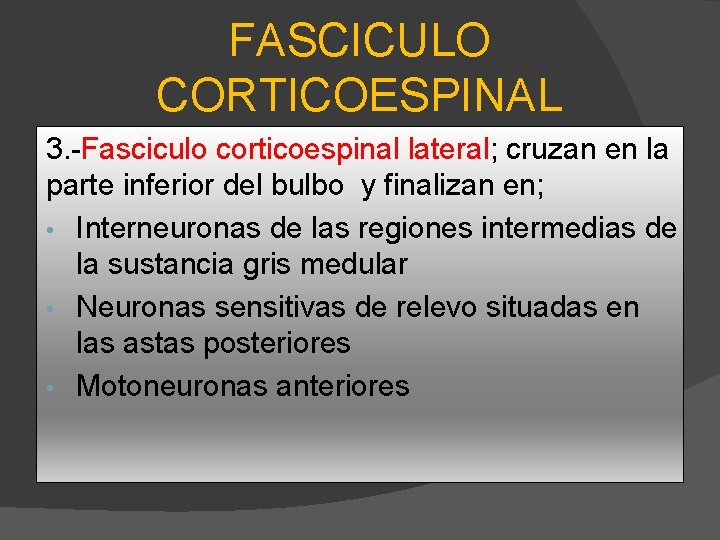 FASCICULO CORTICOESPINAL 3. -Fasciculo corticoespinal lateral; cruzan en la parte inferior del bulbo y