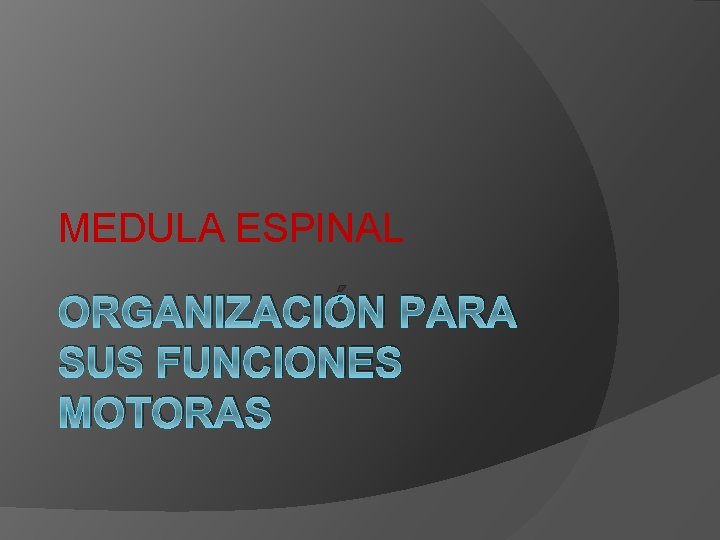 MEDULA ESPINAL ORGANIZACIÓN PARA SUS FUNCIONES MOTORAS 