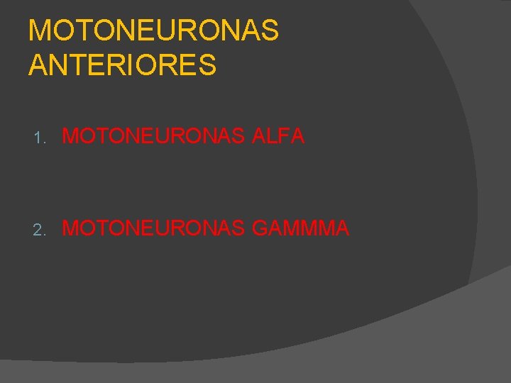 MOTONEURONAS ANTERIORES 1. MOTONEURONAS ALFA 2. MOTONEURONAS GAMMMA 