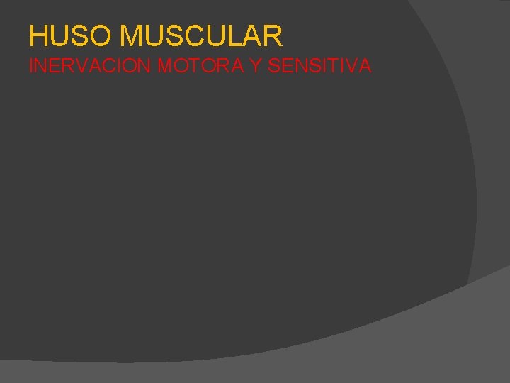 HUSO MUSCULAR INERVACION MOTORA Y SENSITIVA 