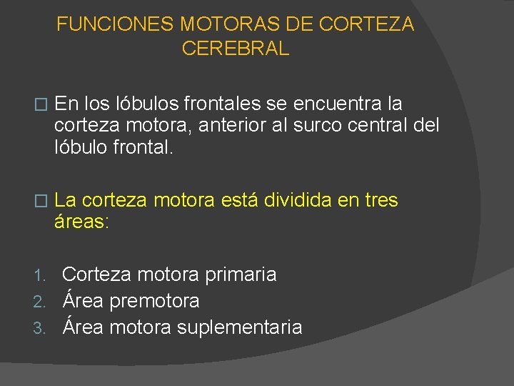 FUNCIONES MOTORAS DE CORTEZA CEREBRAL � En los lóbulos frontales se encuentra la corteza