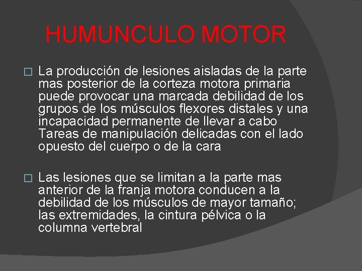 HUMUNCULO MOTOR � La producción de lesiones aisladas de la parte mas posterior de