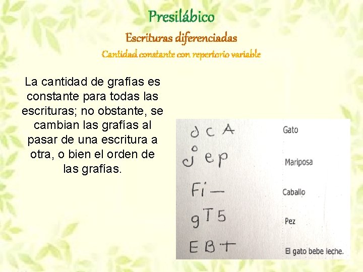 Presilábico Escrituras diferenciadas Cantidad constante con repertorio variable La cantidad de grafías es constante Presilábico Escrituras diferenciadas Cantidad constante con repertorio variable La cantidad de grafías es constante