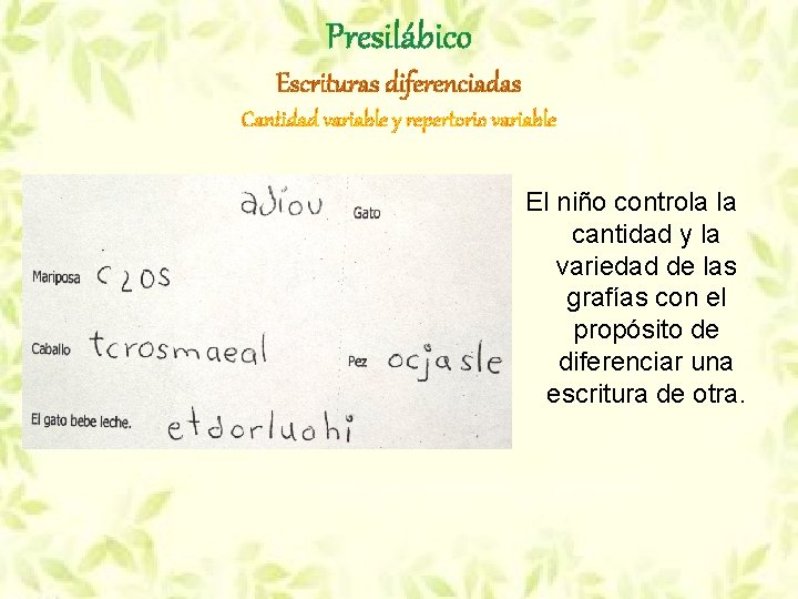 Presilábico Escrituras diferenciadas Cantidad variable y repertorio variable El niño controla la cantidad y Presilábico Escrituras diferenciadas Cantidad variable y repertorio variable El niño controla la cantidad y