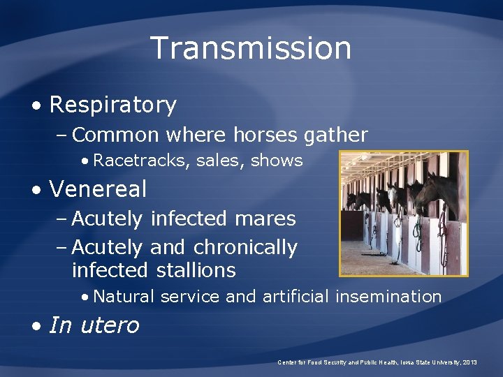 Transmission • Respiratory – Common where horses gather • Racetracks, sales, shows • Venereal