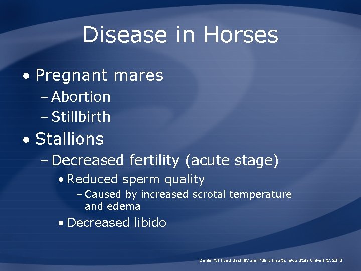 Disease in Horses • Pregnant mares – Abortion – Stillbirth • Stallions – Decreased