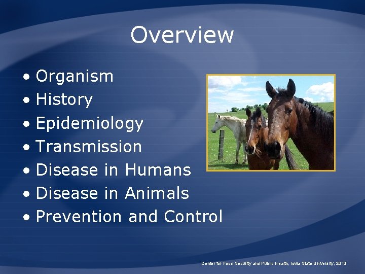 Overview • Organism • History • Epidemiology • Transmission • Disease in Humans •