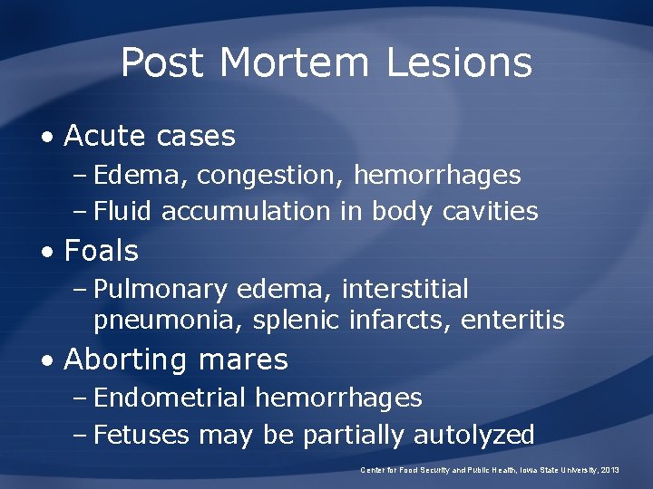 Post Mortem Lesions • Acute cases – Edema, congestion, hemorrhages – Fluid accumulation in