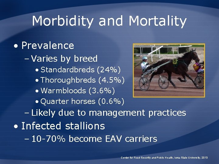 Morbidity and Mortality • Prevalence – Varies by breed • Standardbreds (24%) • Thoroughbreds