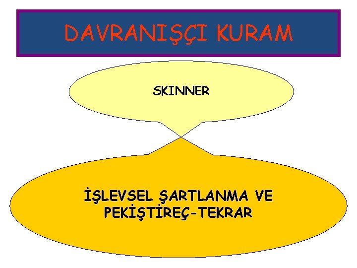 DAVRANIŞÇI KURAM SKINNER İŞLEVSEL ŞARTLANMA VE PEKİŞTİREÇ-TEKRAR 