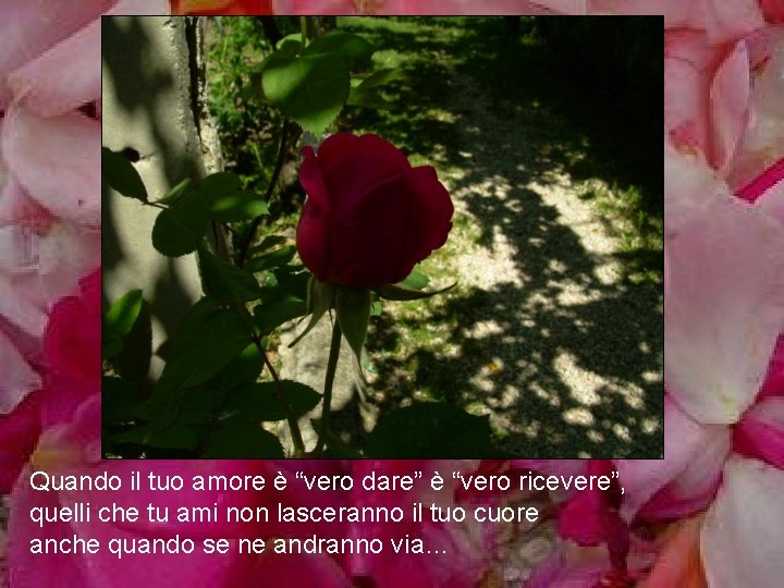 Quando il tuo amore è “vero dare” è “vero ricevere”, quelli che tu ami