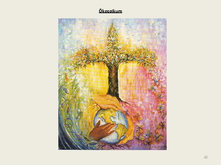 Ökozoikum 45 