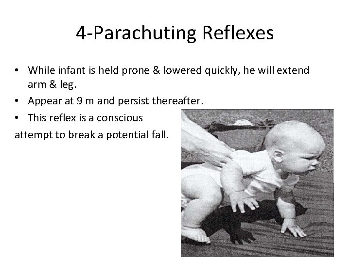 4 -Parachuting Reflexes • While infant is held prone & lowered quickly, he will