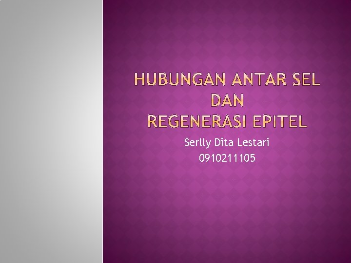Serlly Dita Lestari 0910211105 Serlly Dita Lestari 0910211105