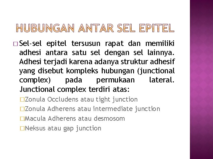 � Sel-sel epitel tersusun rapat dan memiliki adhesi antara satu sel dengan sel lainnya. � Sel-sel epitel tersusun rapat dan memiliki adhesi antara satu sel dengan sel lainnya.