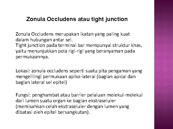 Zonula Occludens atau tight junction Zonula Occludens merupakan ikatan yang paling kuat dalam hubungan Zonula Occludens atau tight junction Zonula Occludens merupakan ikatan yang paling kuat dalam hubungan
